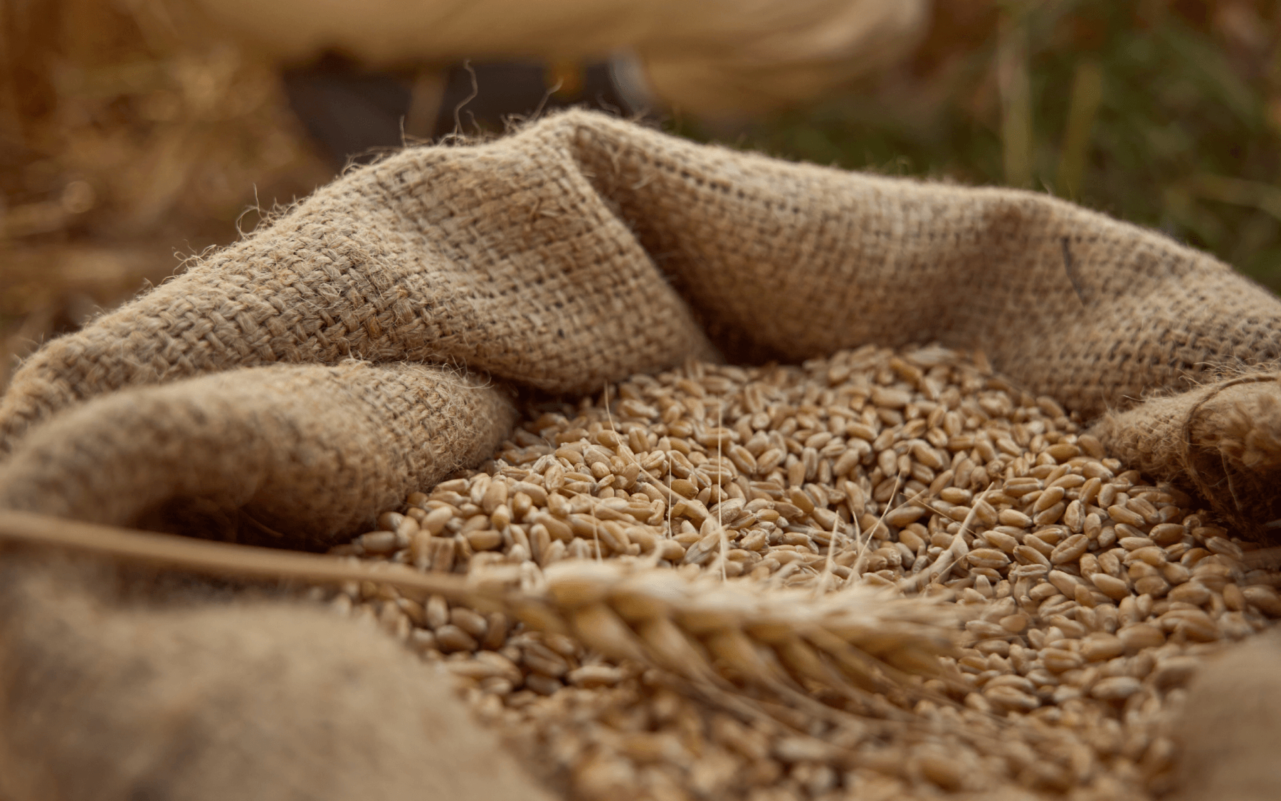 Improving Crop Quality