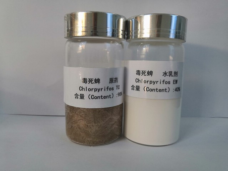 毒死蜱Chlorpyrifos.jpg