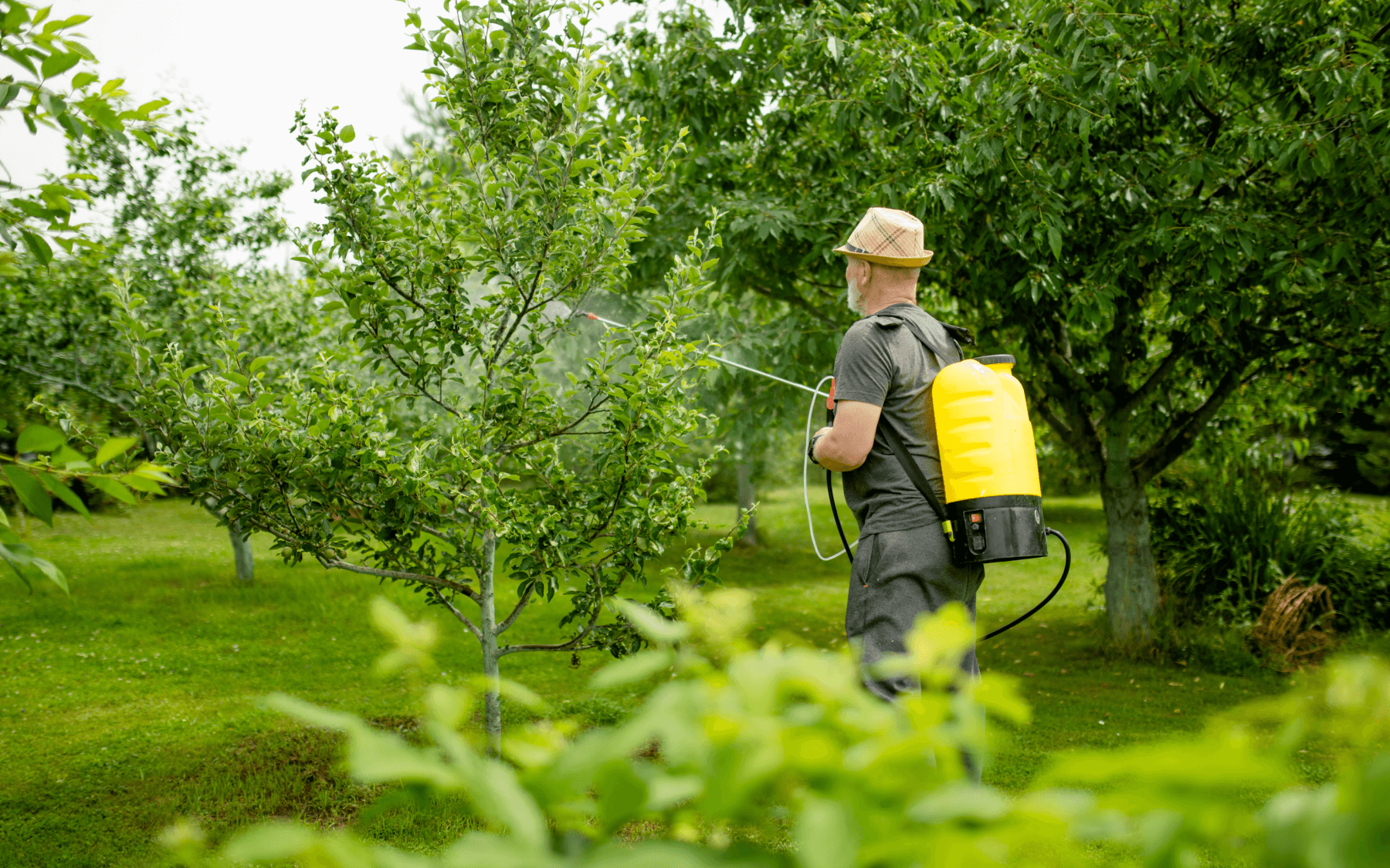 Key Pest Elimination