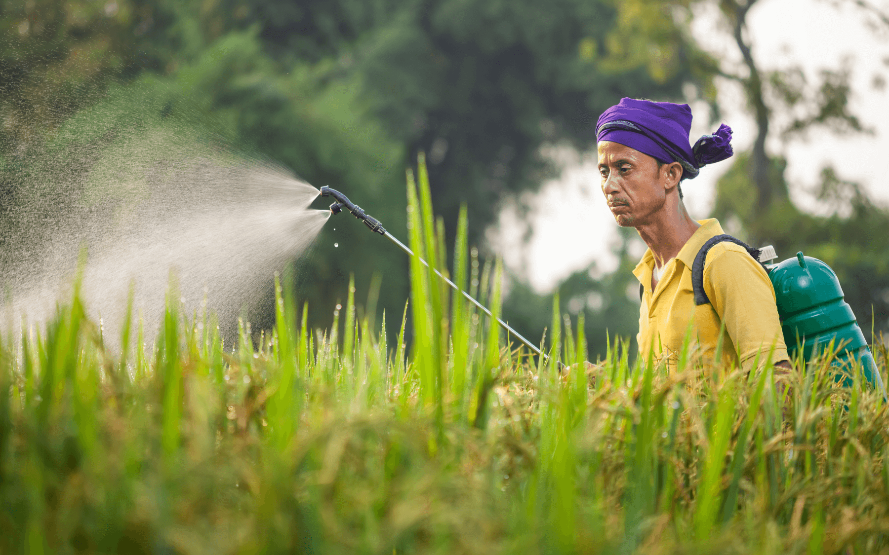 Efficient & Precise Weed Control