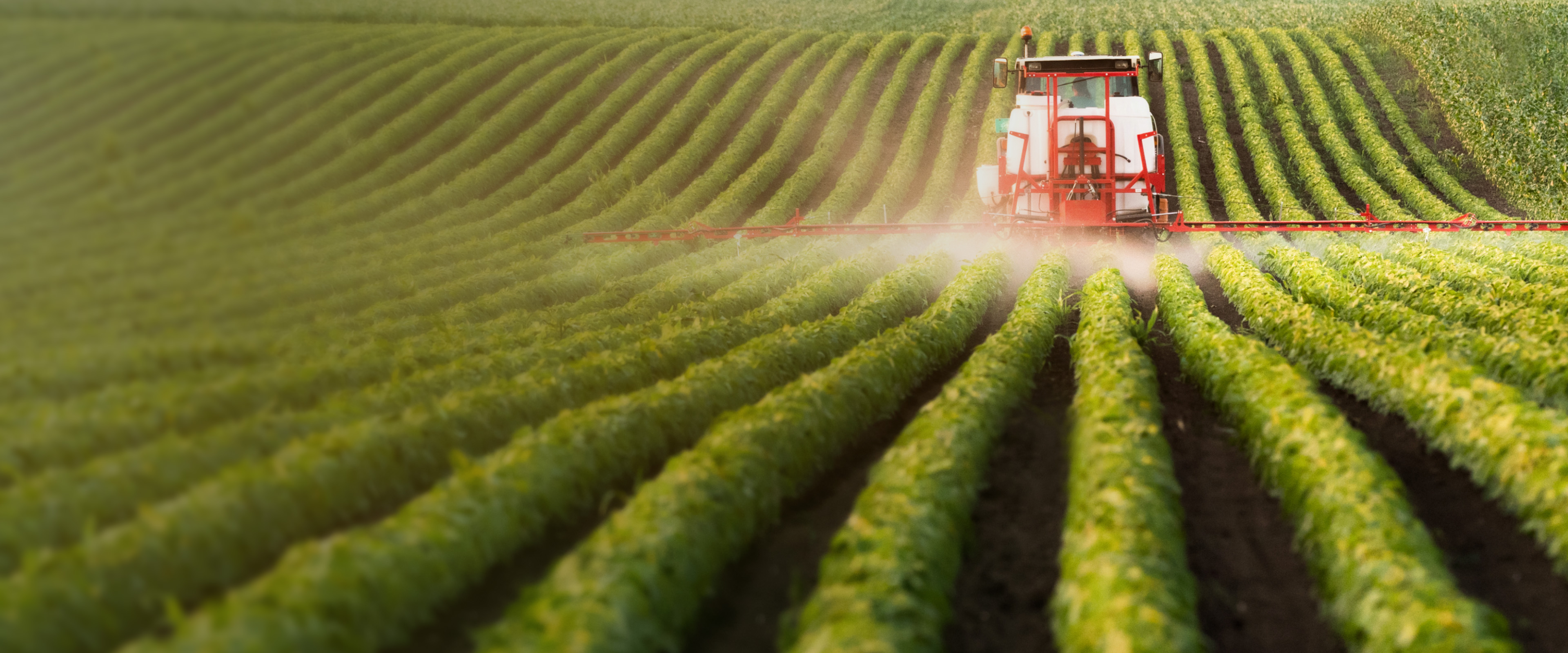 BAL AGRICULTURE WITH GREEN INNOVATION