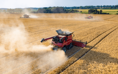 s3.png